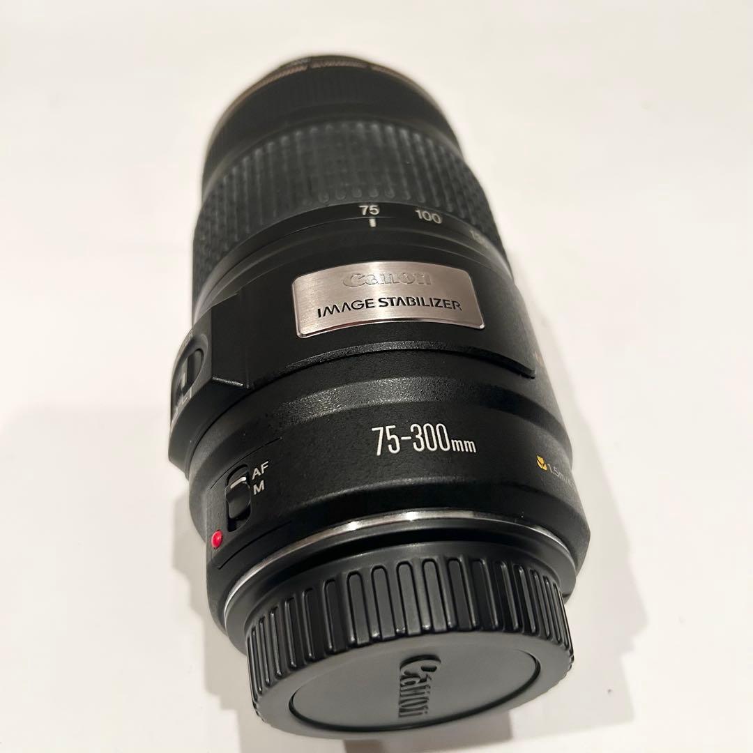 Canon EF 75-300mm f/4-5.6 IS ズームレンズ