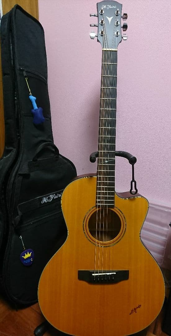 K.YAIRI  ヤイリ 2018年 BM-65C   PU付き