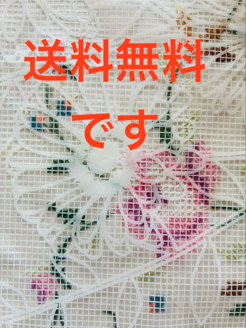 H37 厚岸ホテイアツモリソウ