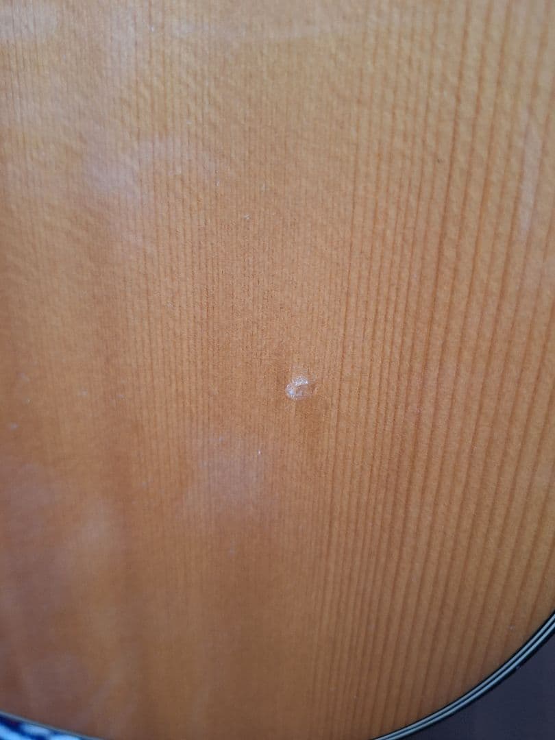 YAMAHA FG-200 Green Labelロケットケース付