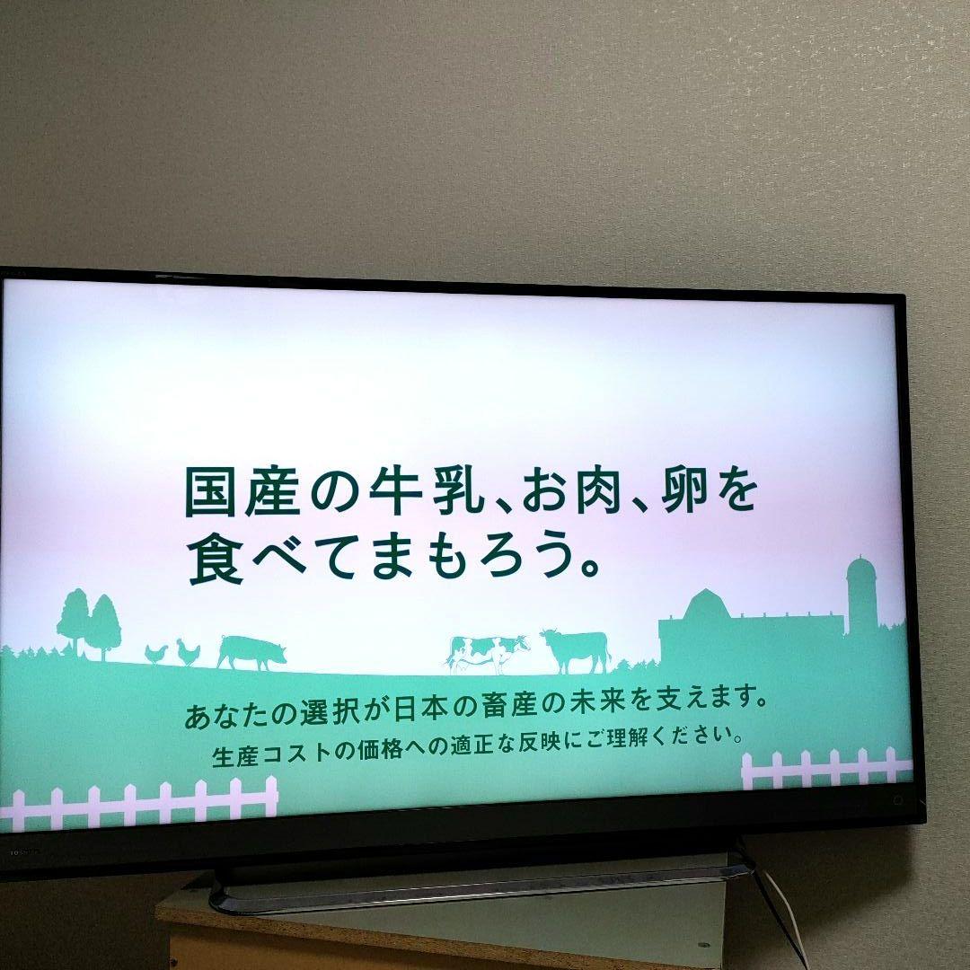 TOSHIBA[2018年製品]50M510X