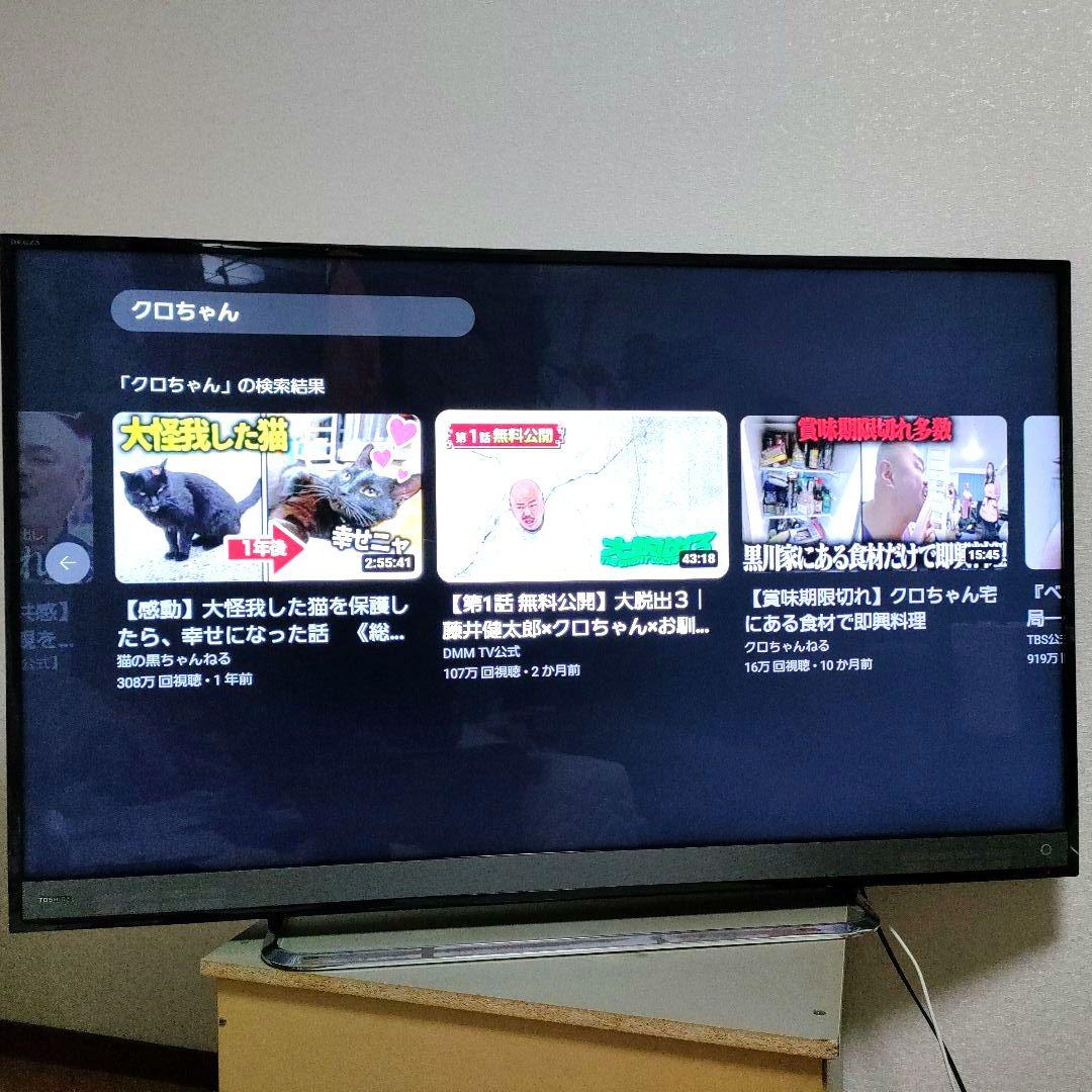 TOSHIBA[2018年製品]50M510X