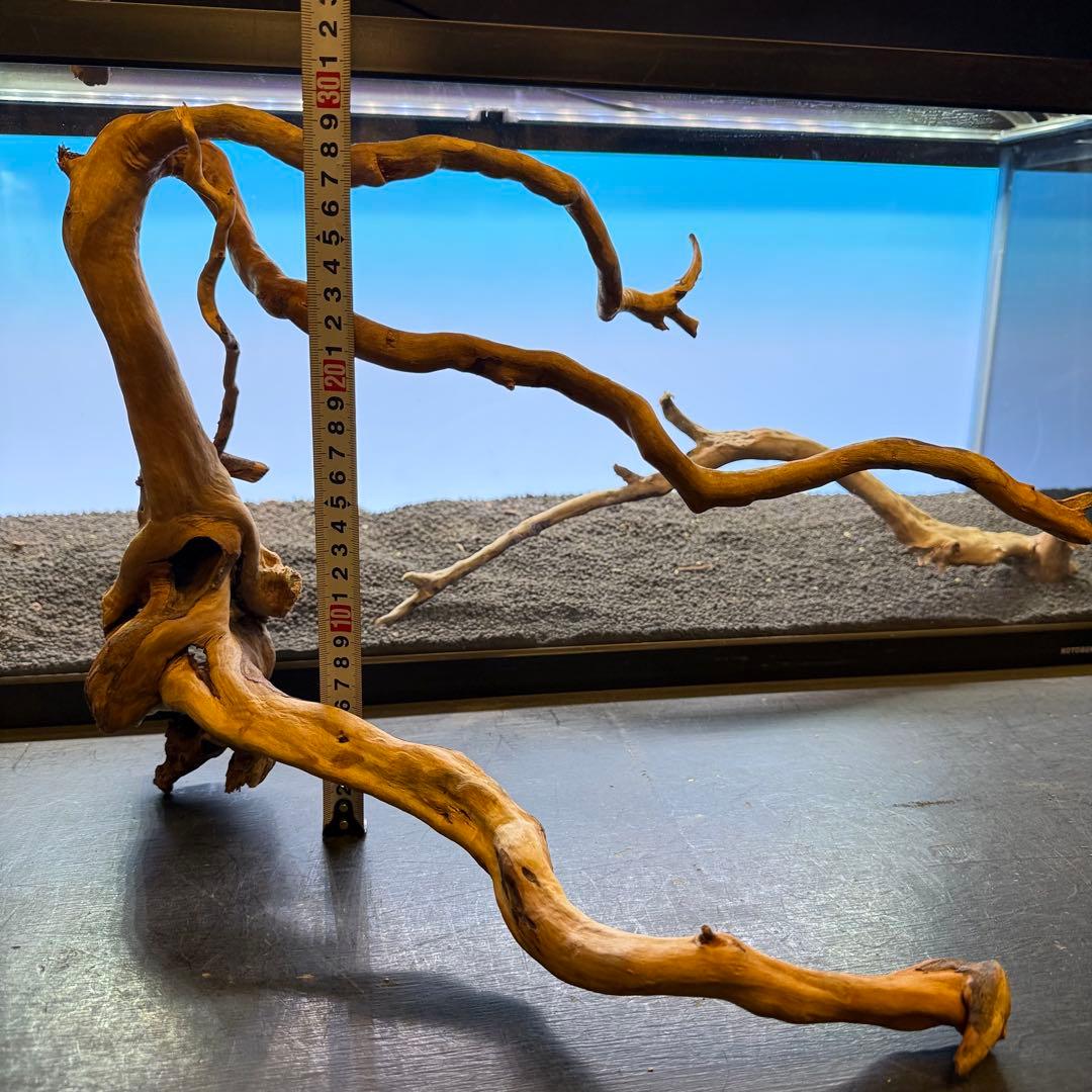 MDW-7223 ブランチウッドレイアウトセット　90cm水槽用流木　枝流木