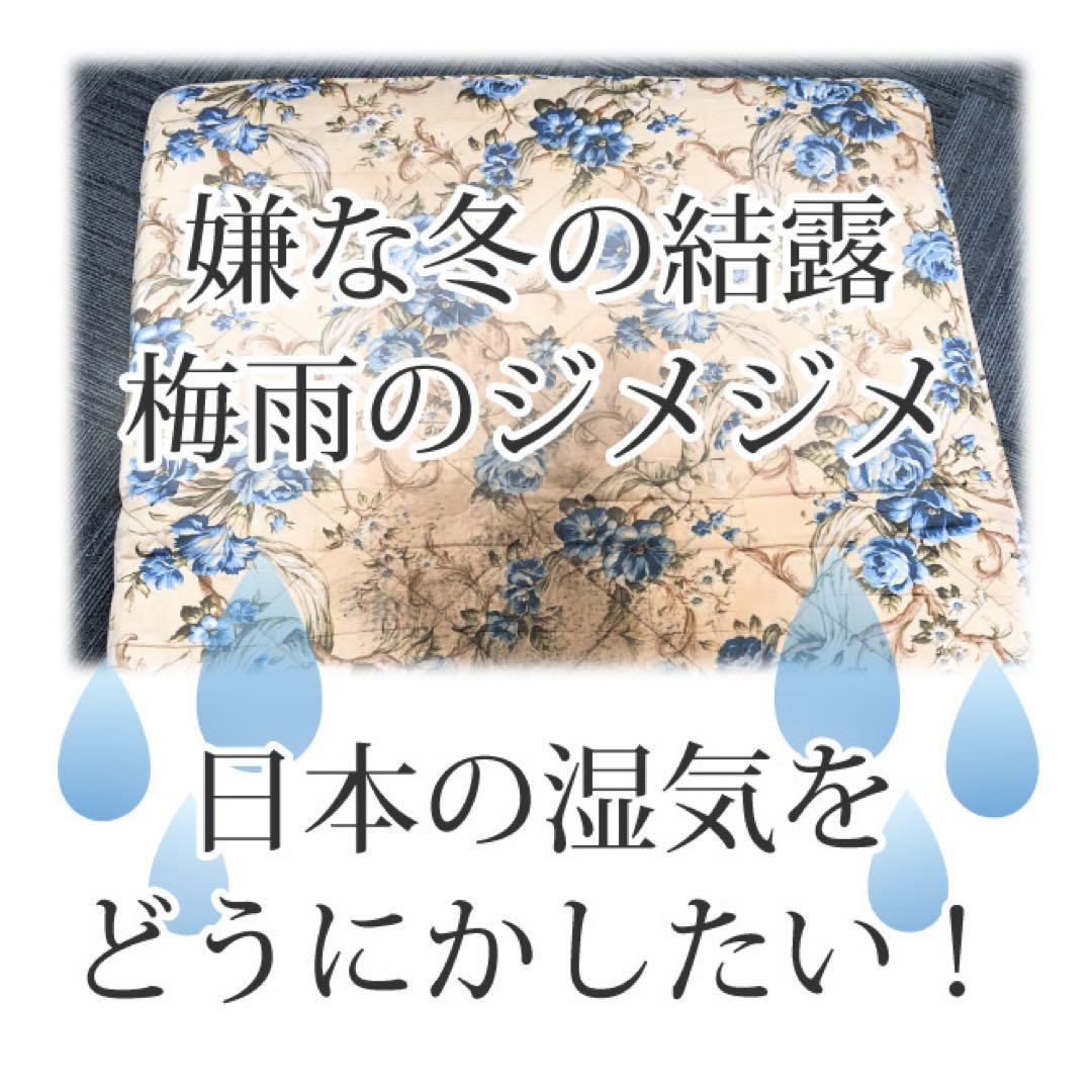 エアジョブすのこ型吸湿マット(ベッド対応タイプ)シングルサイズ【２枚組】