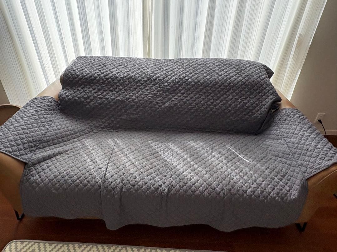 大塚家具　電動ソファ　L/S motion 60 3人掛け　IDC おまけ付き