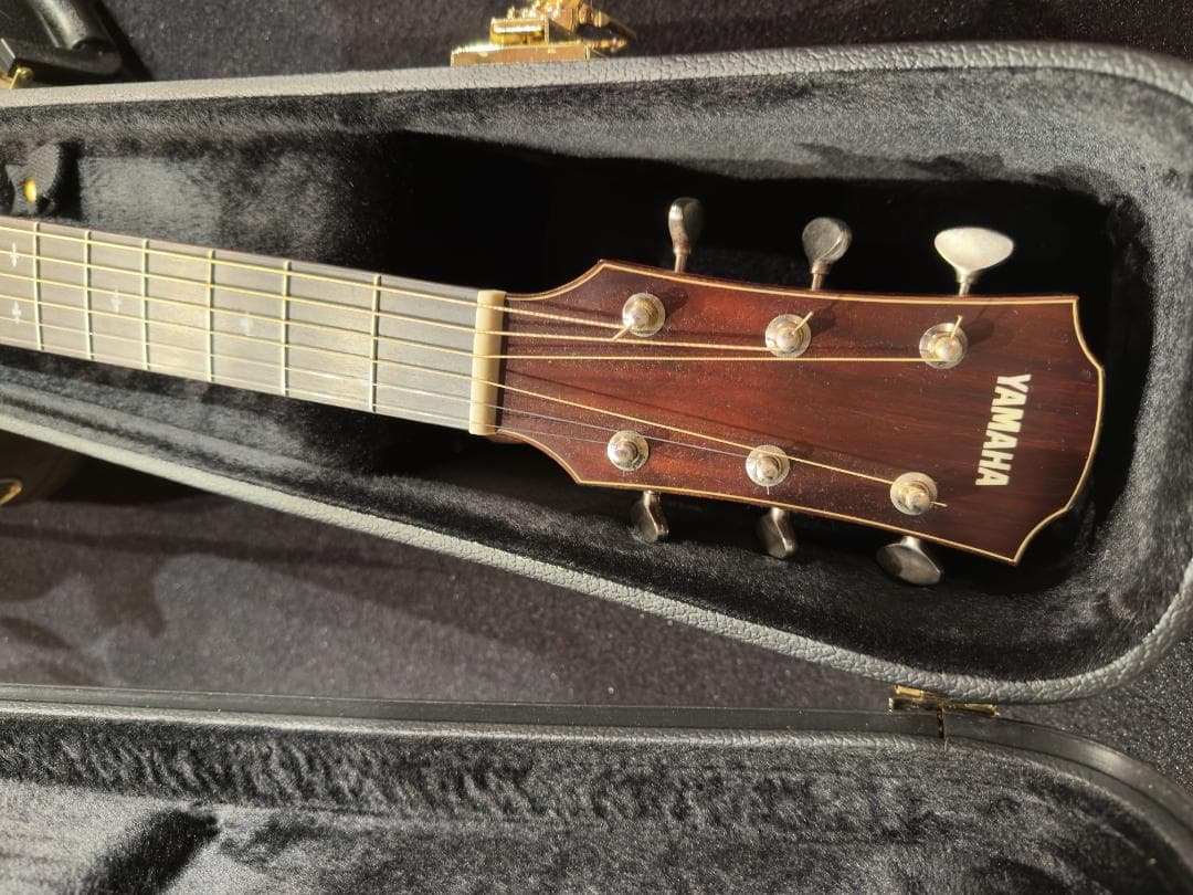 YAMAHA AC5M ARE VN アコースティックギター