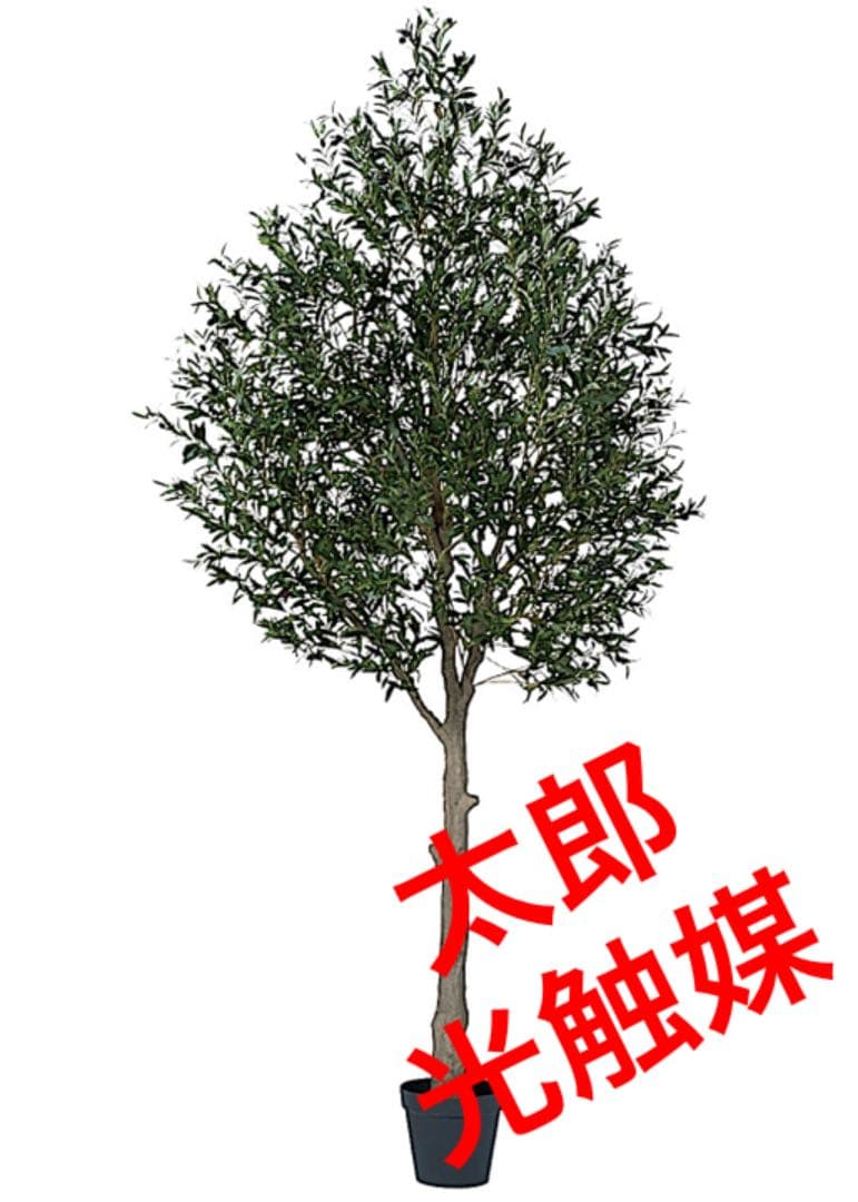 光触媒　人工観葉植物　ウォールグリーン　フェイクグリーン　オリーブ30