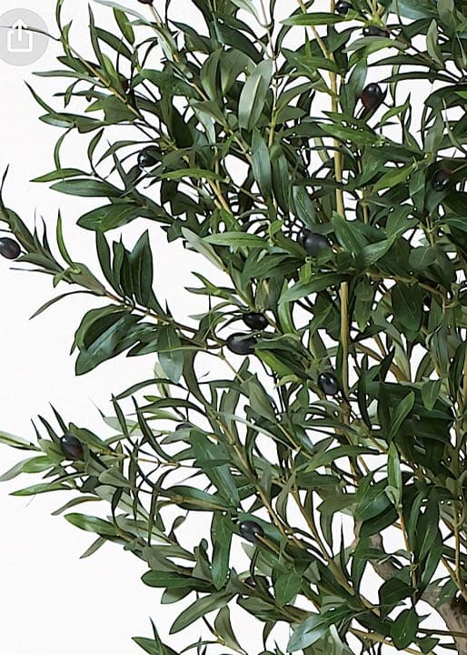 光触媒　人工観葉植物　ウォールグリーン　フェイクグリーン　オリーブ30