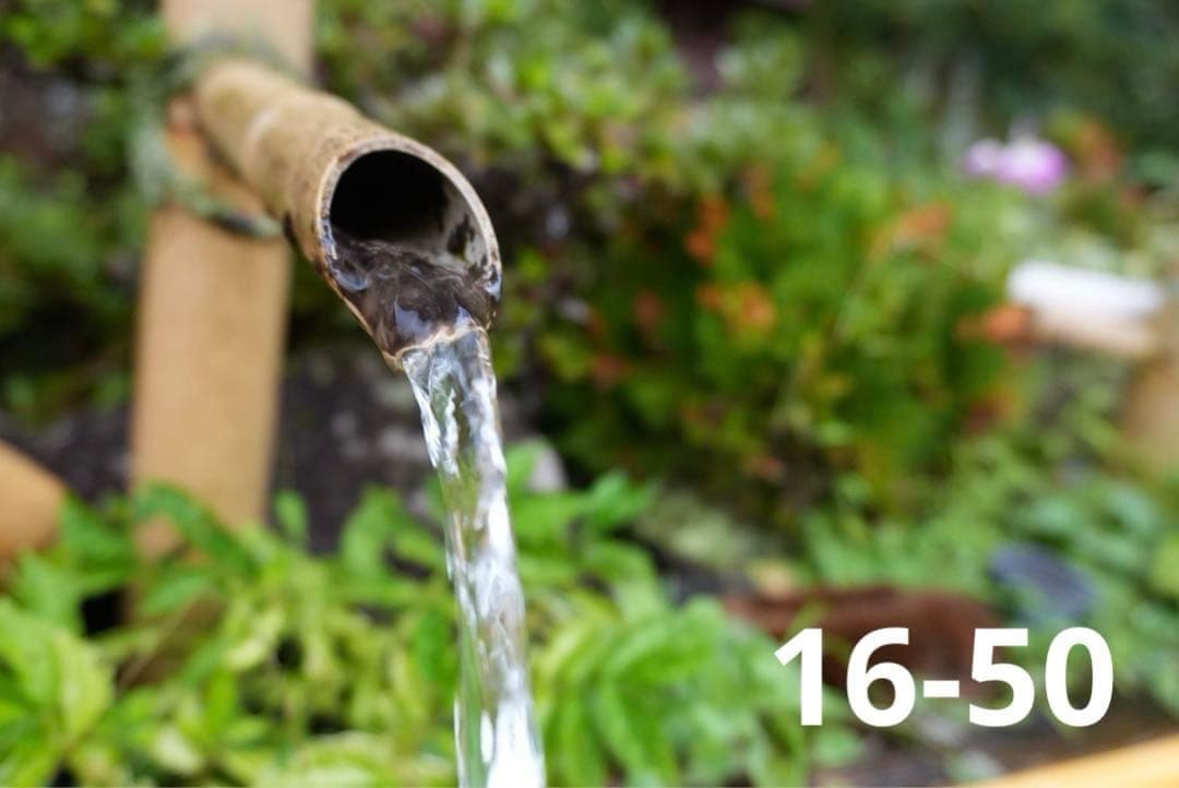 Vlog最強セット】SONY ZV-E10 II ダブル+純正グリップ ホワイト