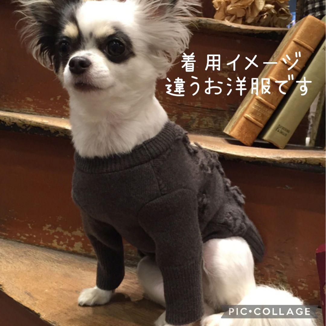 犬服　BEARDSLEY　刺繍ニット　ウール100%　　　ジェラートピケ好きな方