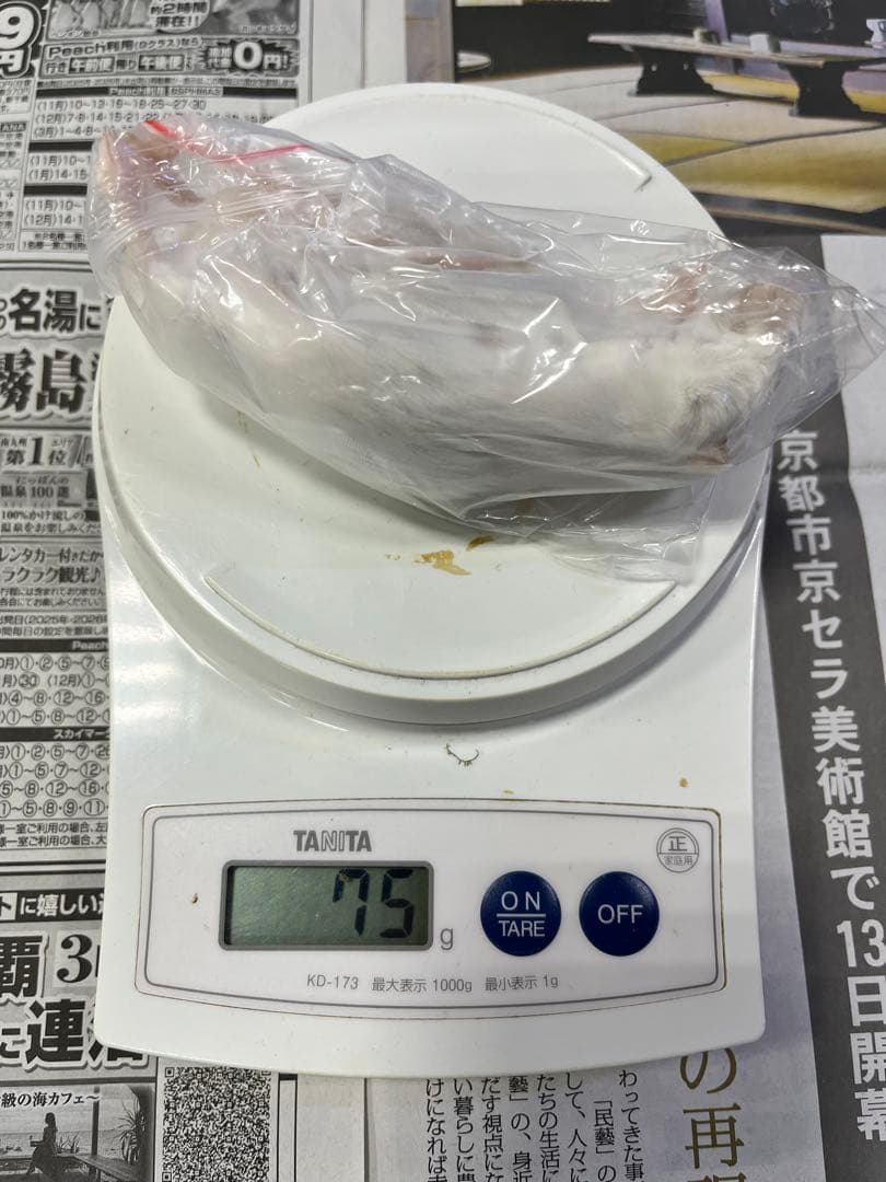 冷凍マウス　リタイア