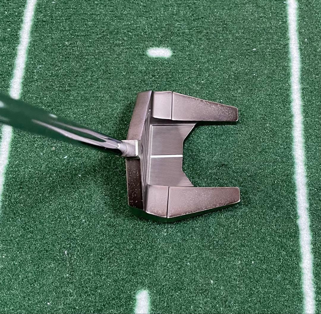 テーラーメイド トラスパター