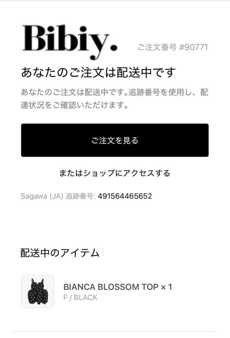 bibiy ブラック