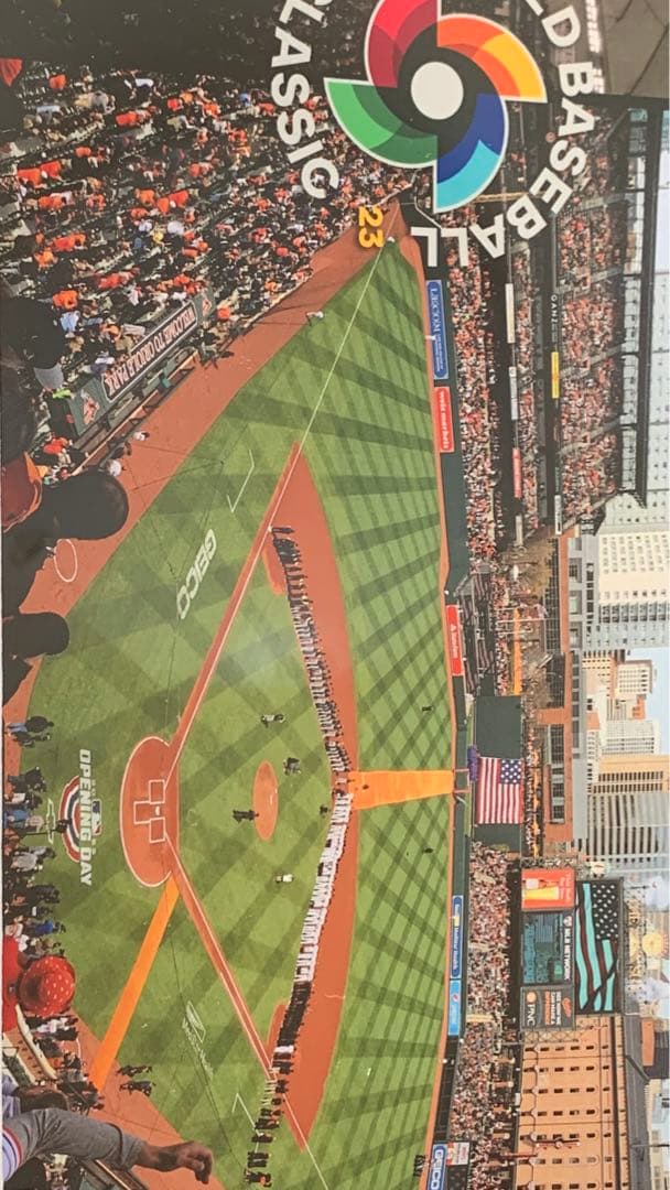 2023 WBC 日本代表 優勝記念 スタジアムフォトミント