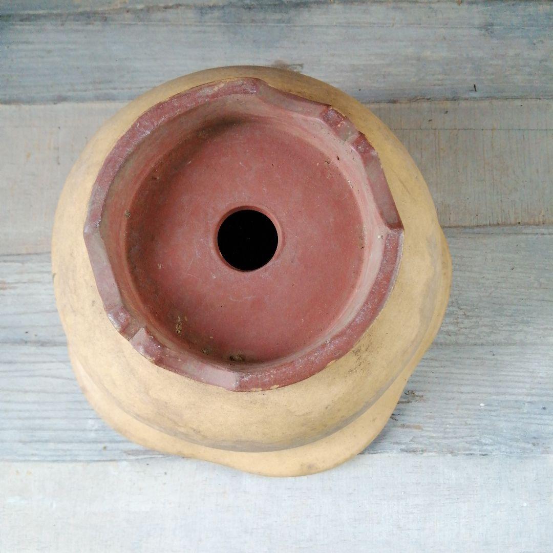 中国　花鳥漢詩彫盆栽鉢　 26cm