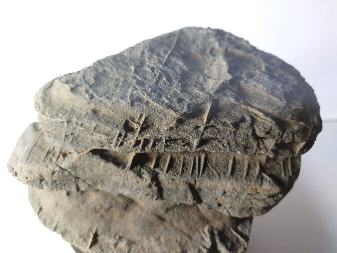 佐治川石　層状　水石 鑑賞石