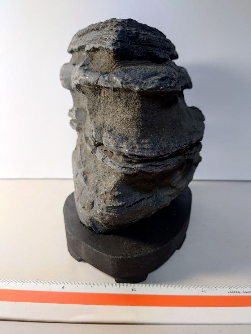 佐治川石　層状　水石 鑑賞石