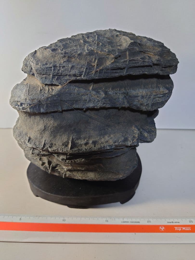 佐治川石　層状　水石 鑑賞石