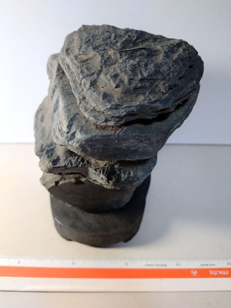 佐治川石　層状　水石 鑑賞石