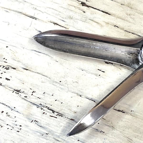 アンティーク　葡萄用ハサミ　グレープシザー　シルバー　装飾