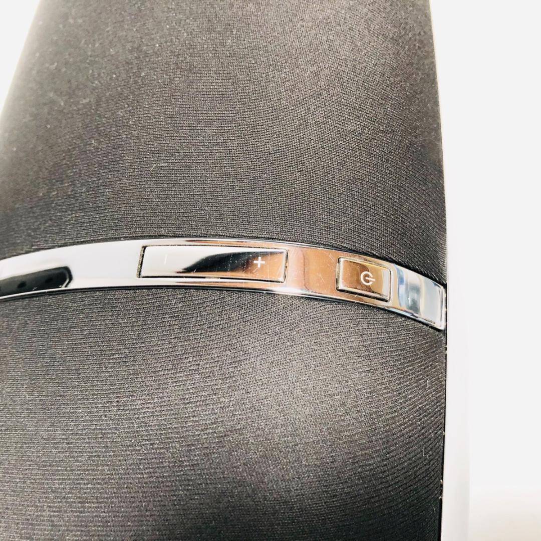 バウワースアンドウィルキンス ツェッペリン スピーカー & iPod セット