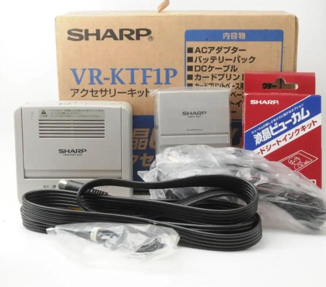 SHARP シャープ VL-FD1 液晶デジタルビューカム ビデオカメラ