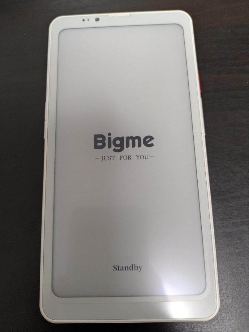 Bigme HiBreak Pro 8+256GB (ホワイト)