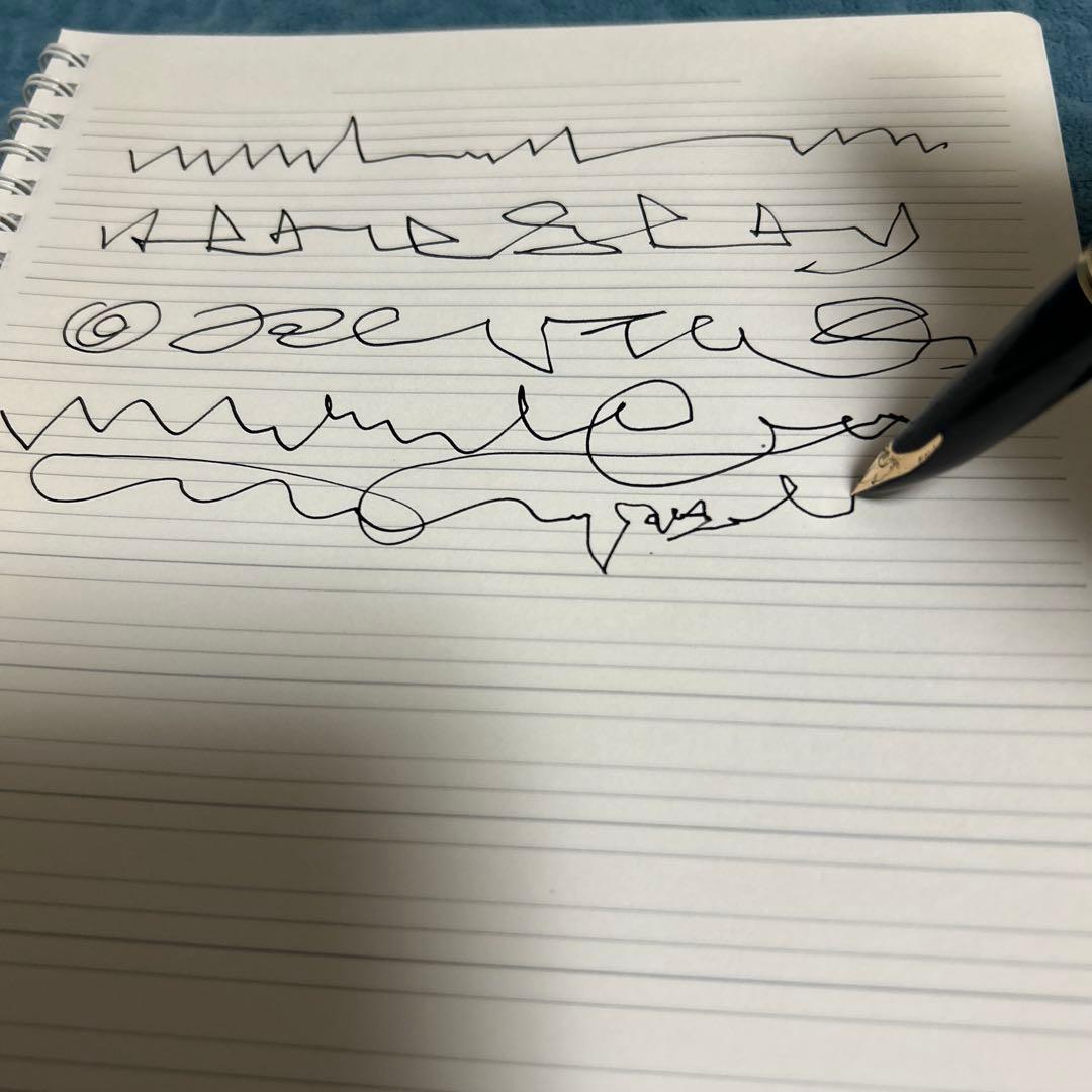 d*9様 WATERMAN 万年筆 黒 専用ケース付き、金18K