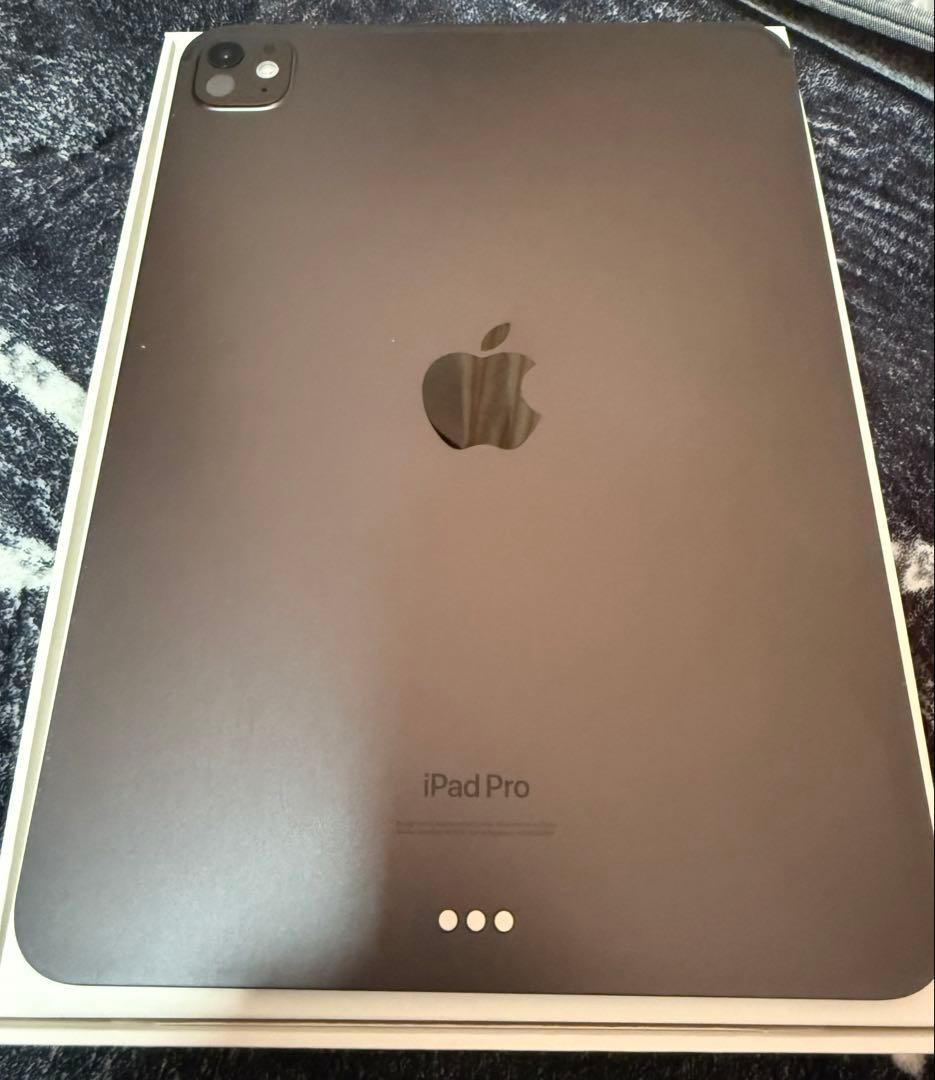 Apple iPad Pro 11インチ (M4) 256GB Wi-Fi