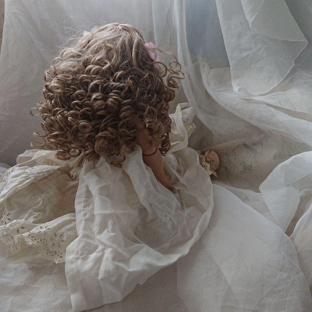 ルイス　アンバーグ　51㌢