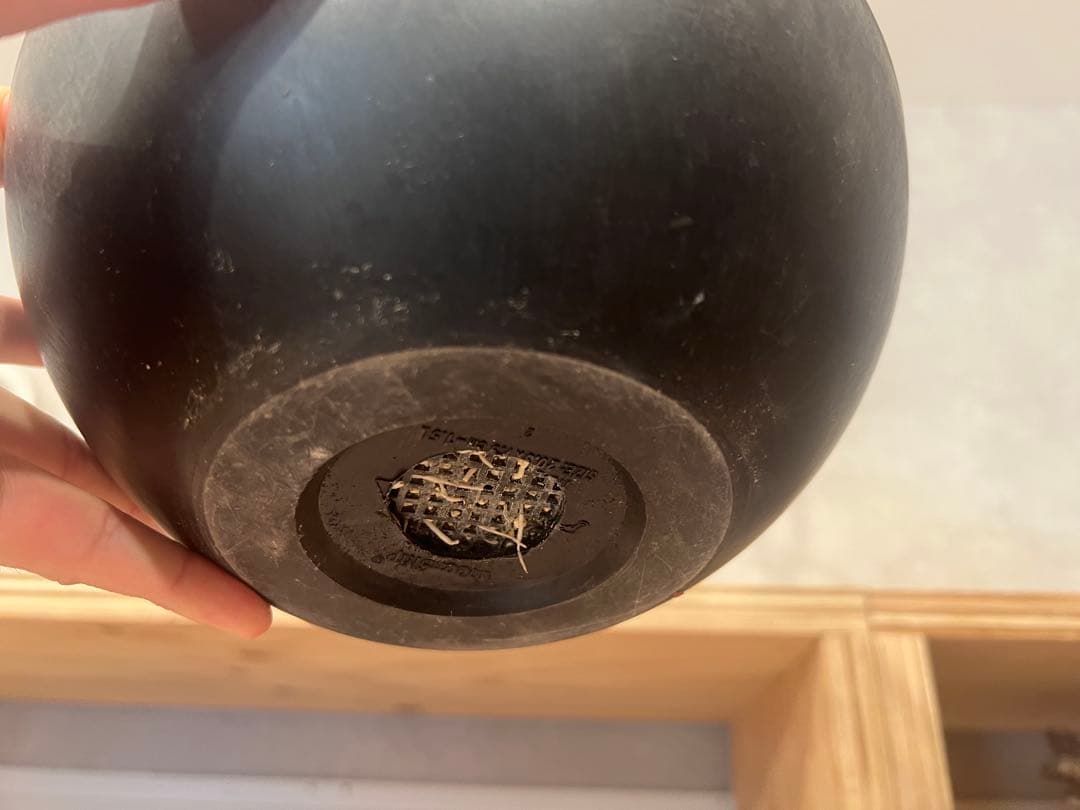 美形 パキポディウム グラキリス③　発根済