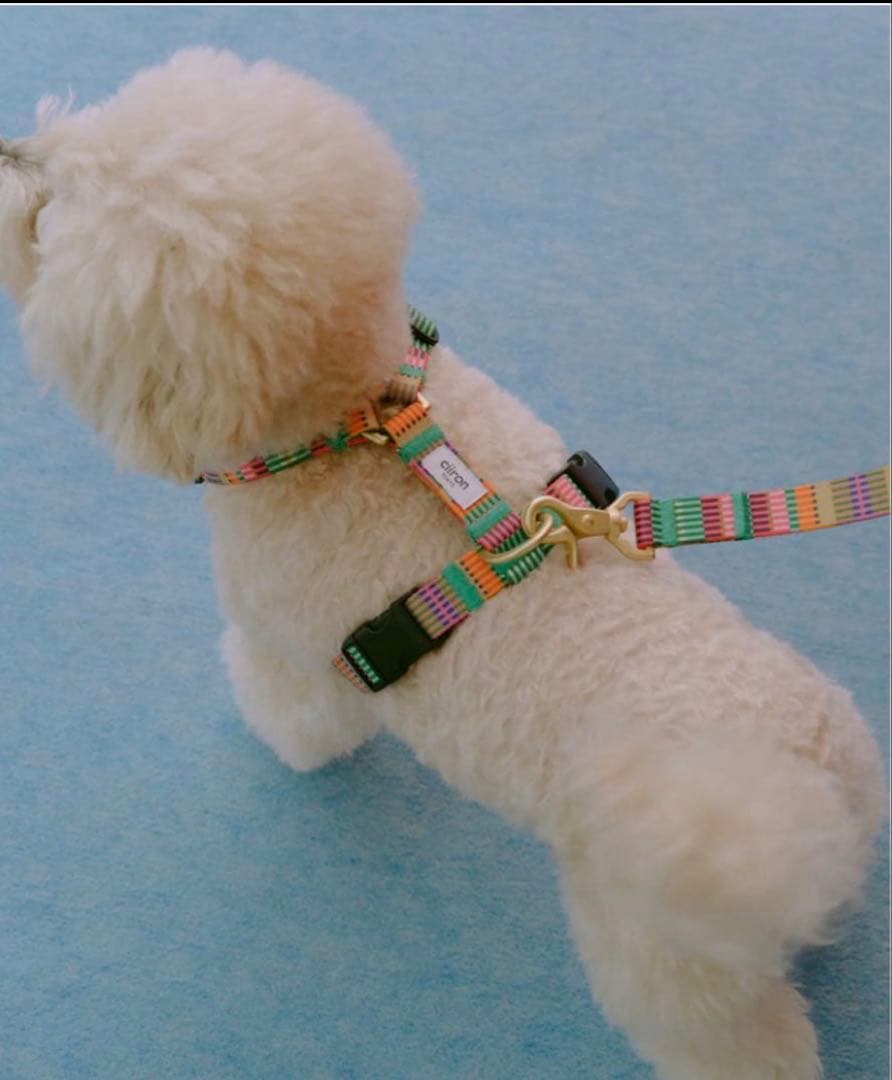 ciiron tokyo AMYハーネス Mサイズ