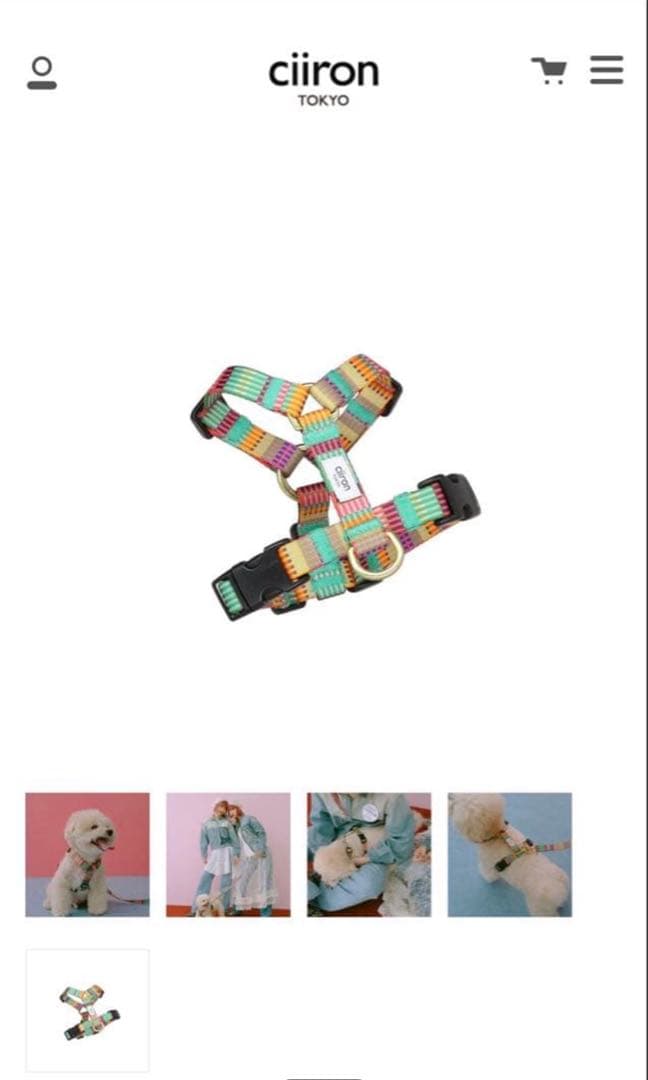 ciiron tokyo AMYハーネス Mサイズ