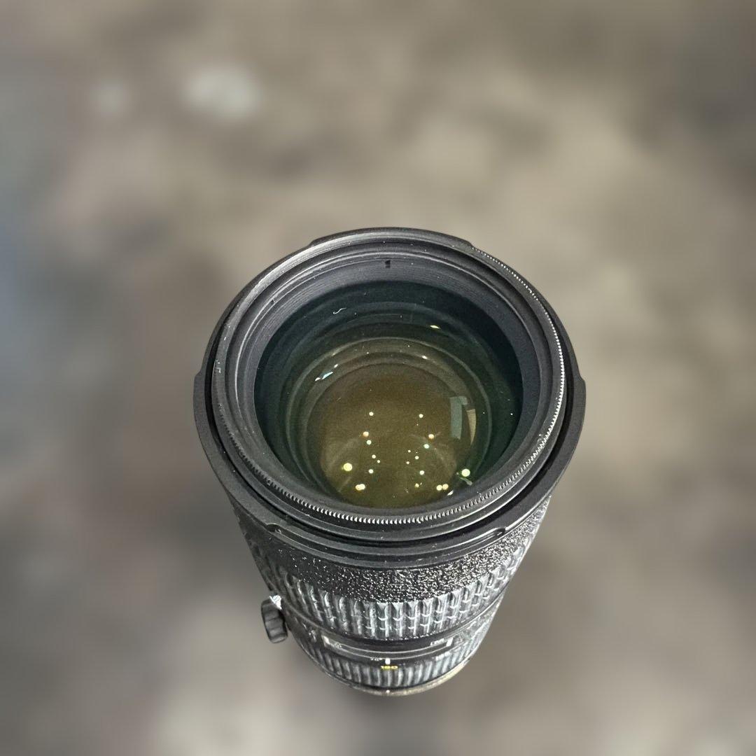 ④Nikon AF-S VR Micro-Nikkor 105mm f/2.8G