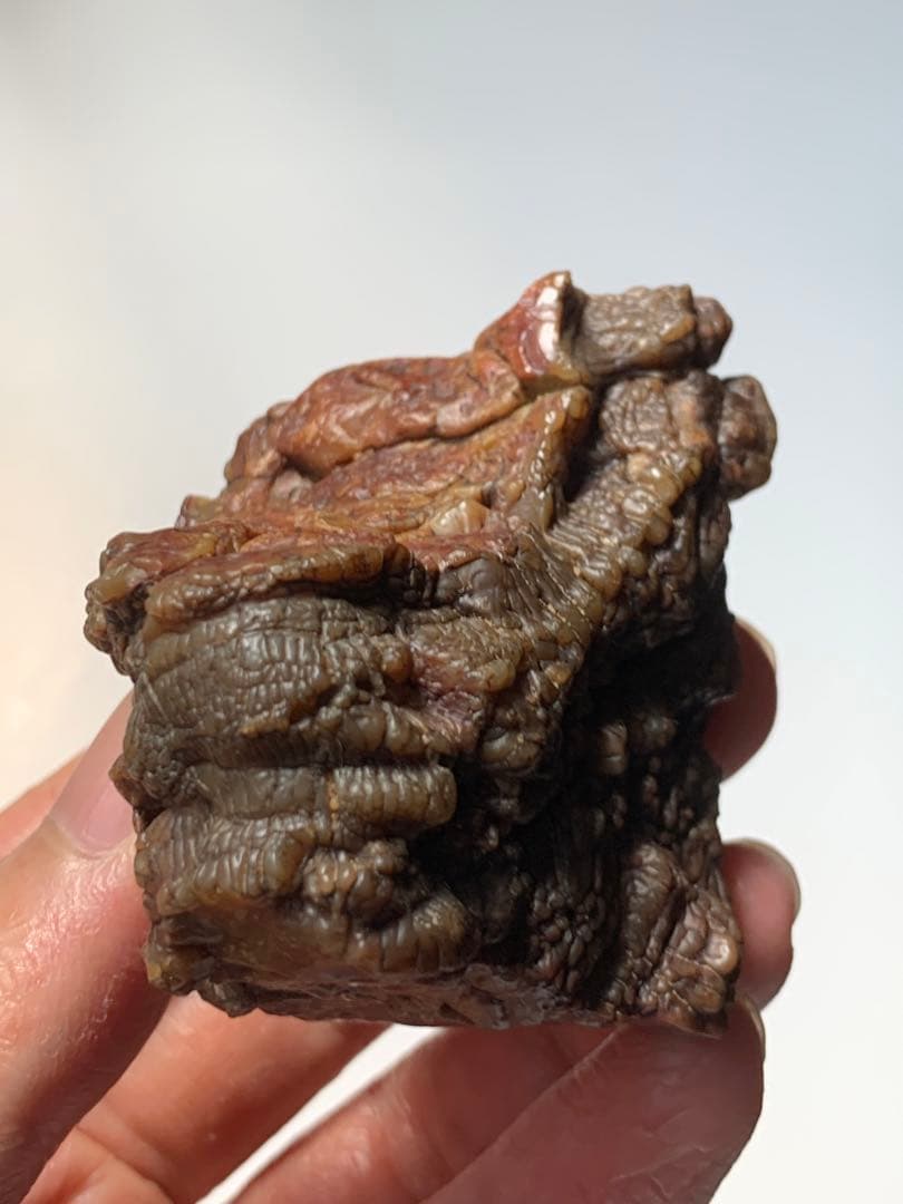 アラシャンゴビアゲート　蒙古瑪瑙　水石　翡翠　オパール　根付　天珠　化石　隕石