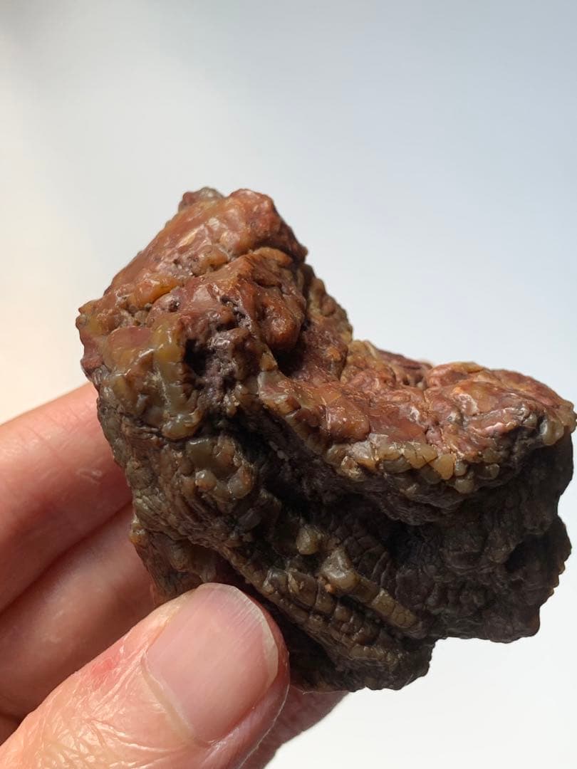 アラシャンゴビアゲート　蒙古瑪瑙　水石　翡翠　オパール　根付　天珠　化石　隕石