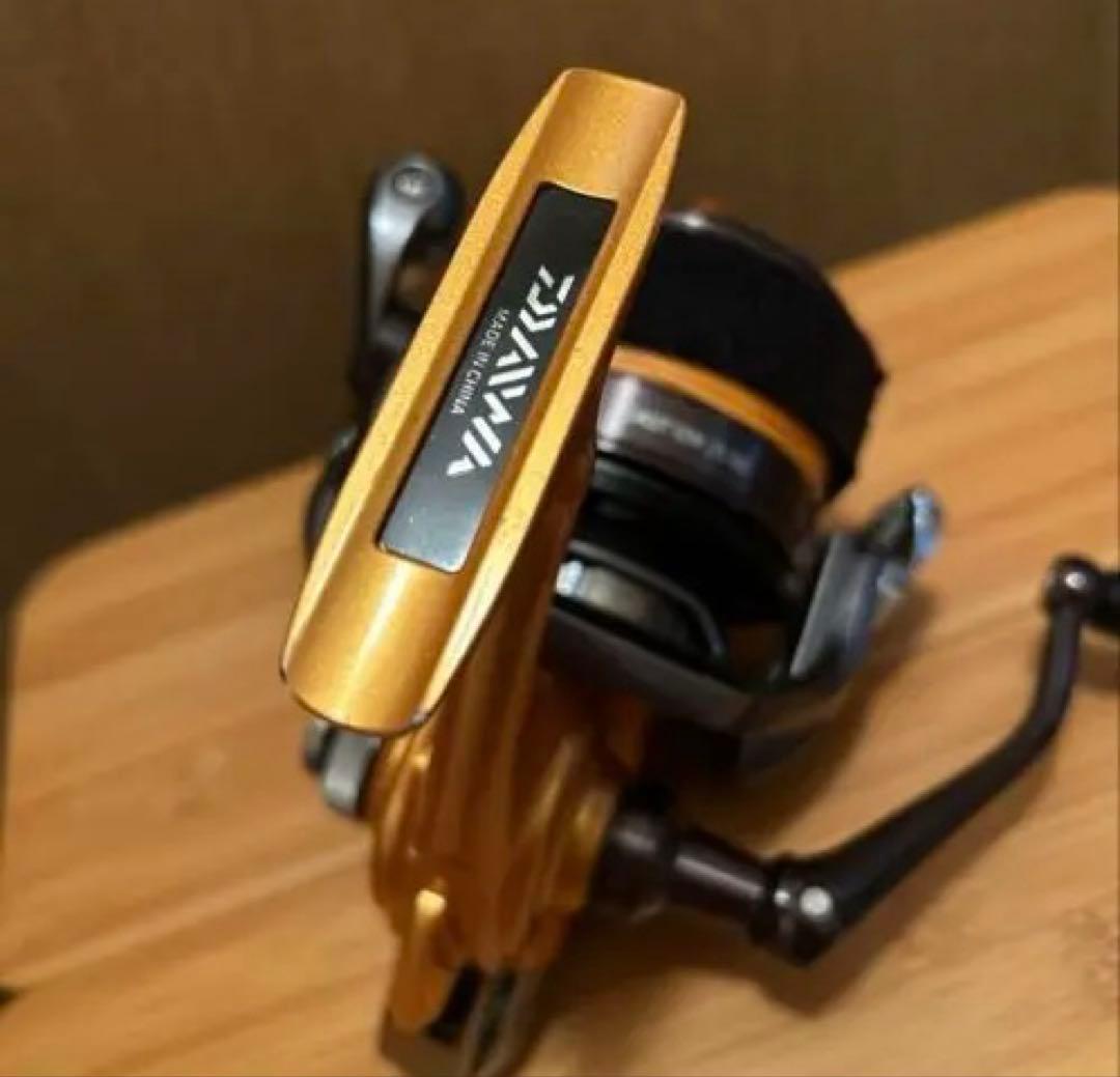 【希少カラー】 美品　ダイワ　キャスティズム25QD