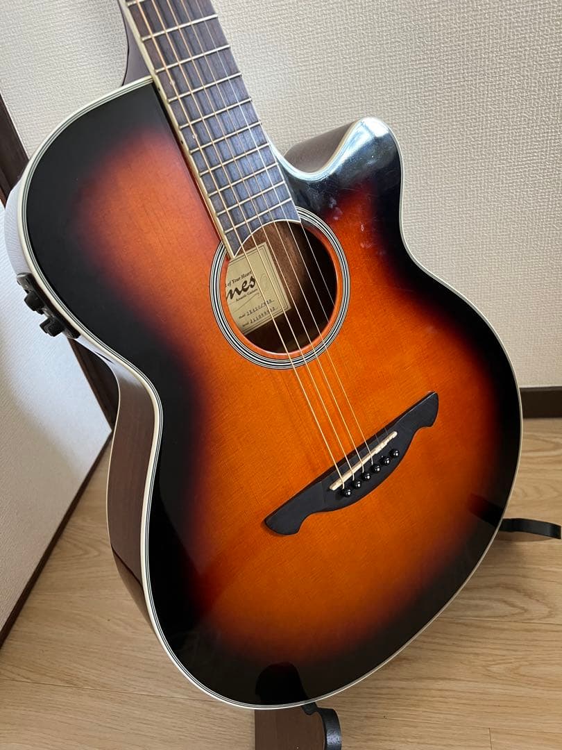 James エレアコ　je450 ソフトケース付き