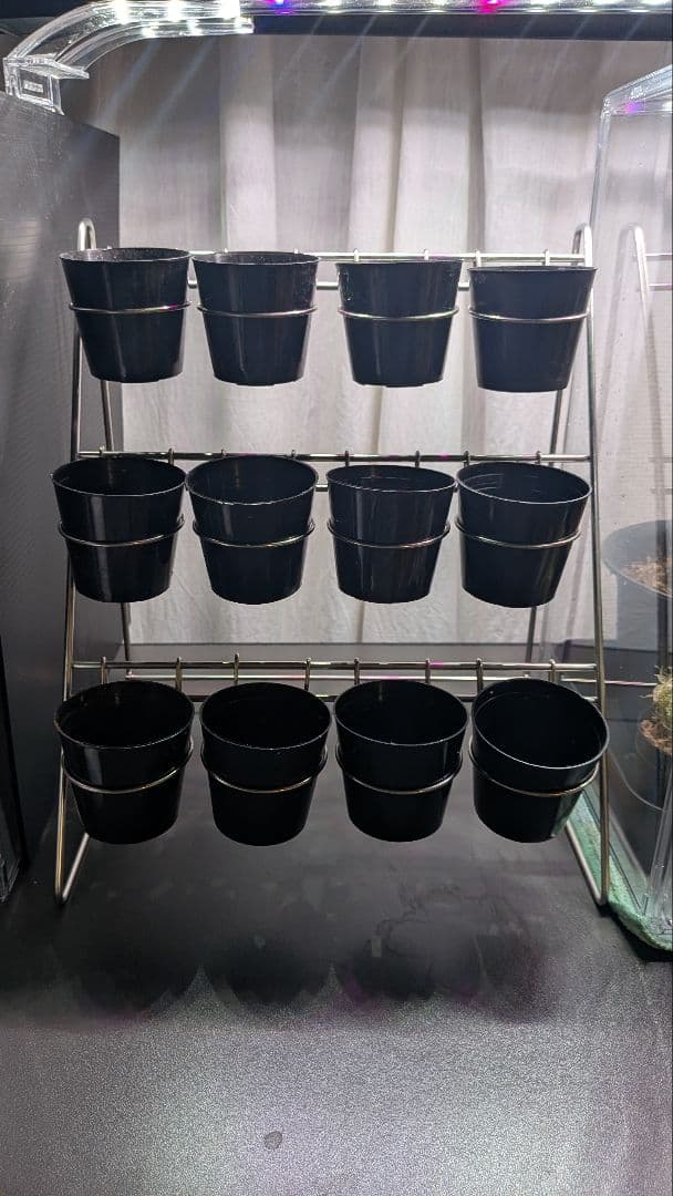 【スピン】COLLECTION WIRE STAND 30【ADA】