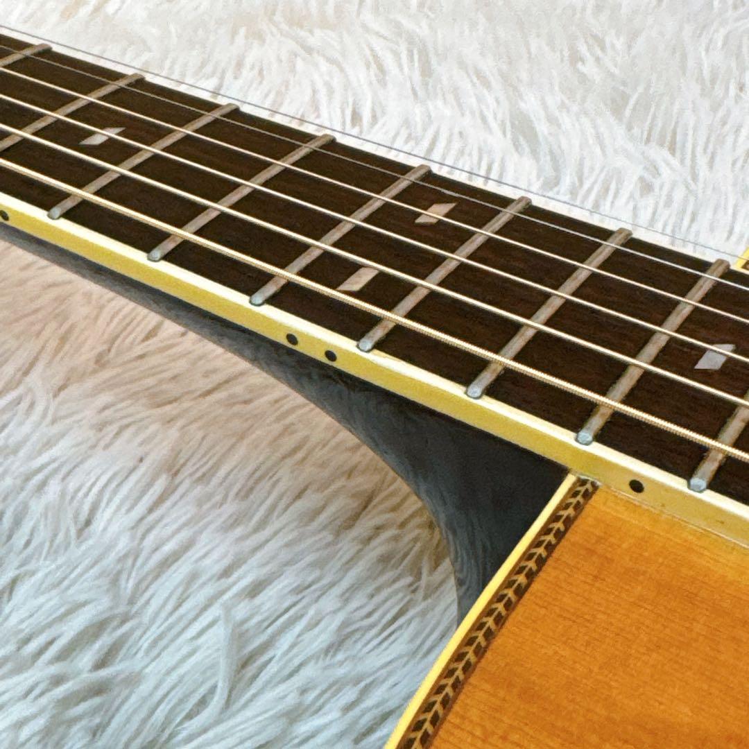 Rider CUSTOM MODEL R-500 アコースティックギター 林楽器