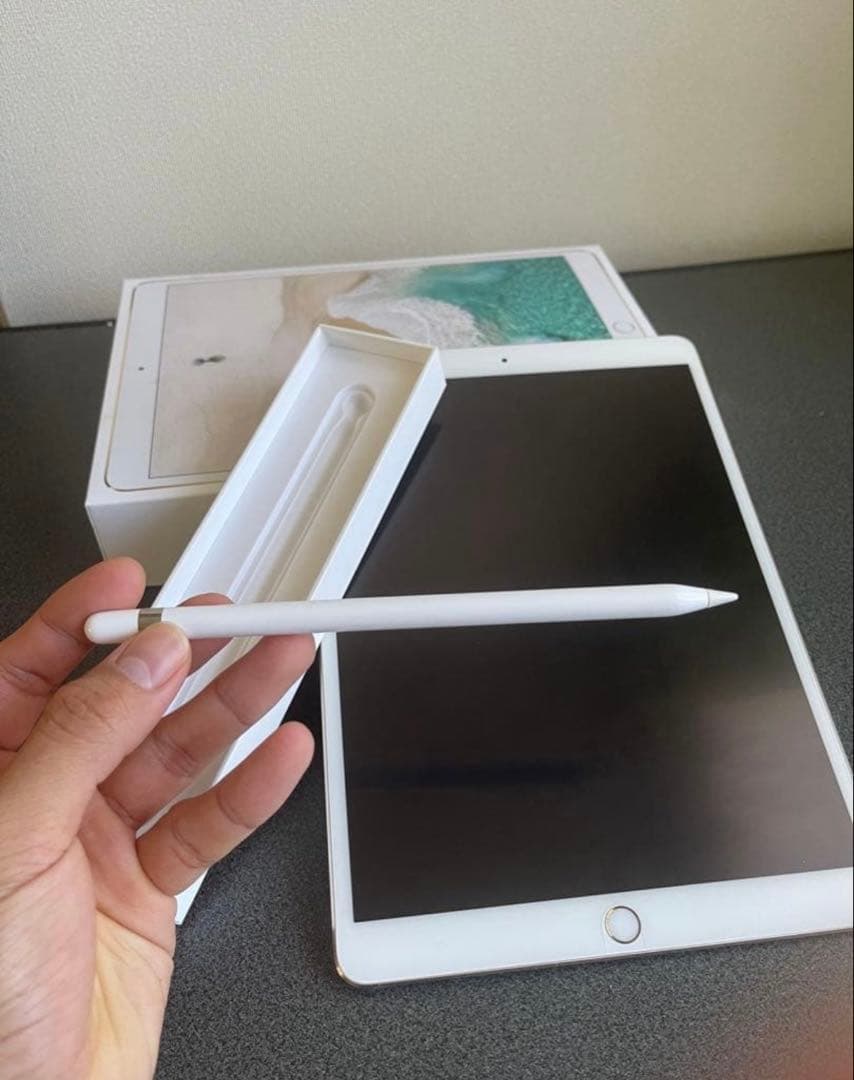 iPad本体 iPadPRO 512Gb+ Apple penci