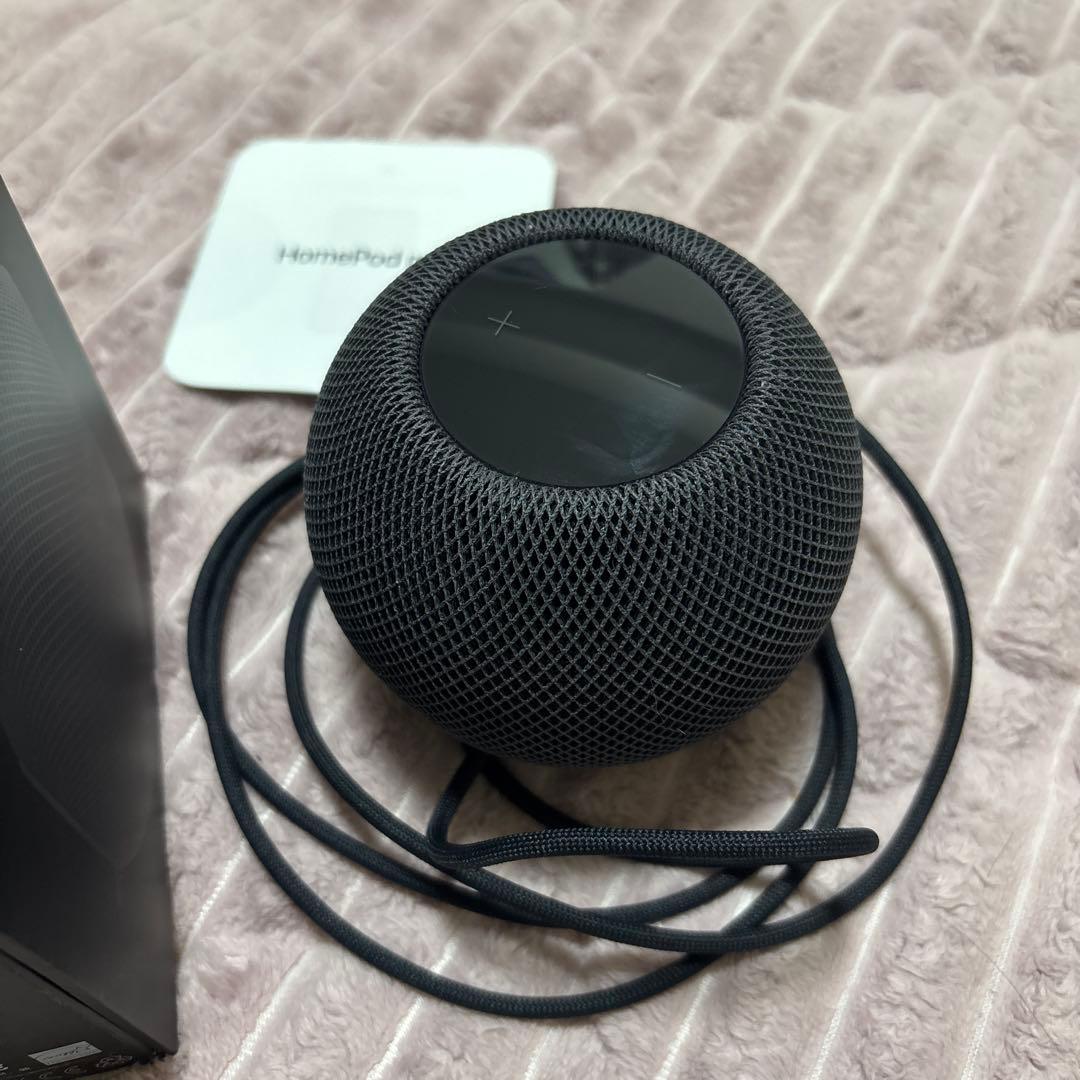 R*y様 Apple Pod mini スペースグレイ