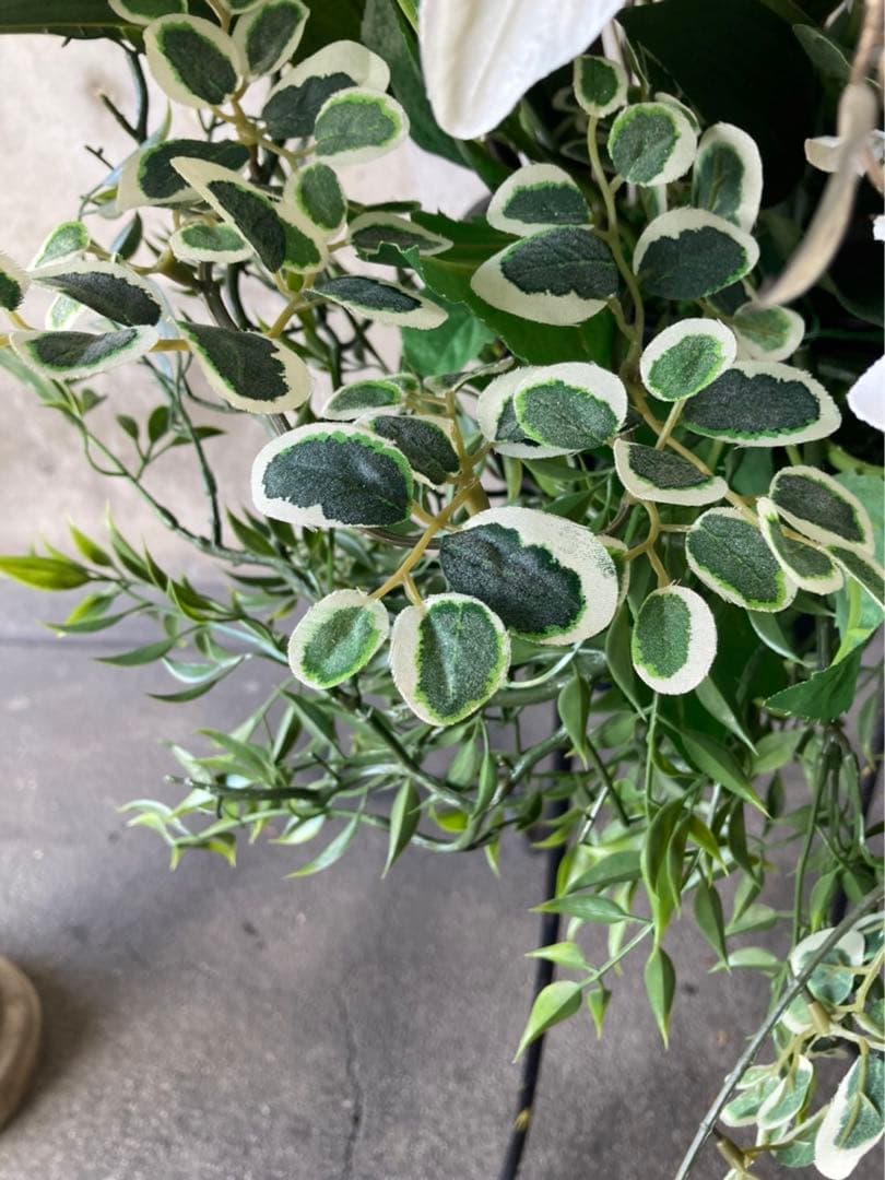 光触媒 人工観葉植物 ウォールグリーン　カサブランカアレンジb