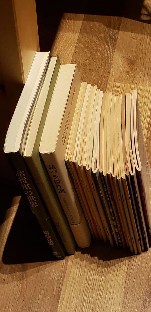 詰将棋作家集合！「詰めパラ傑作選」など全19冊！希少絶版！