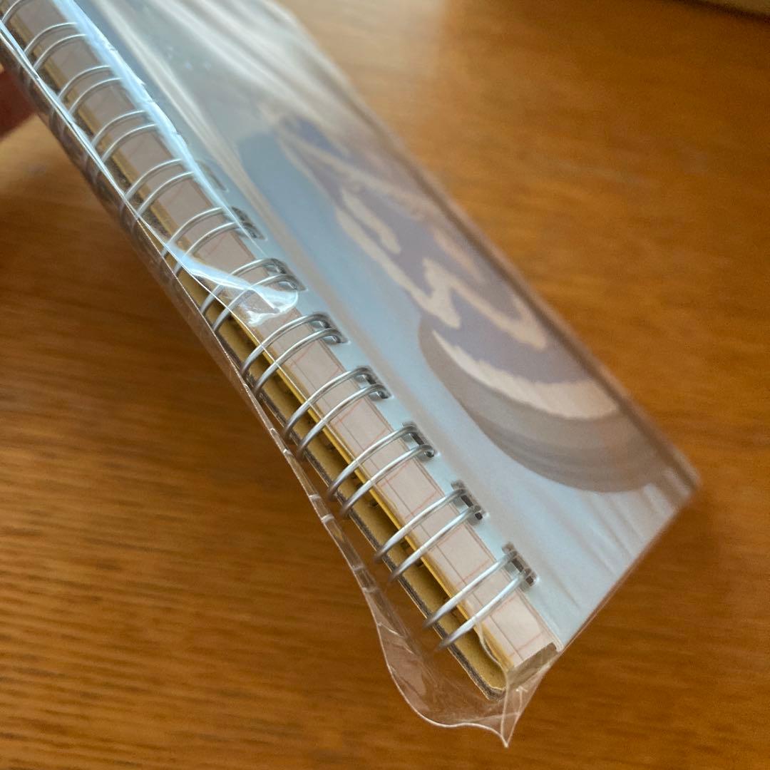 ロルバーンLサイズ　まとめ売り