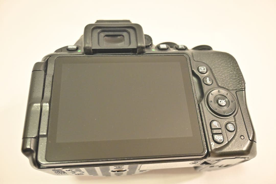 【ズーさん】【美品】　Nikon D5500 ダブルズームキット