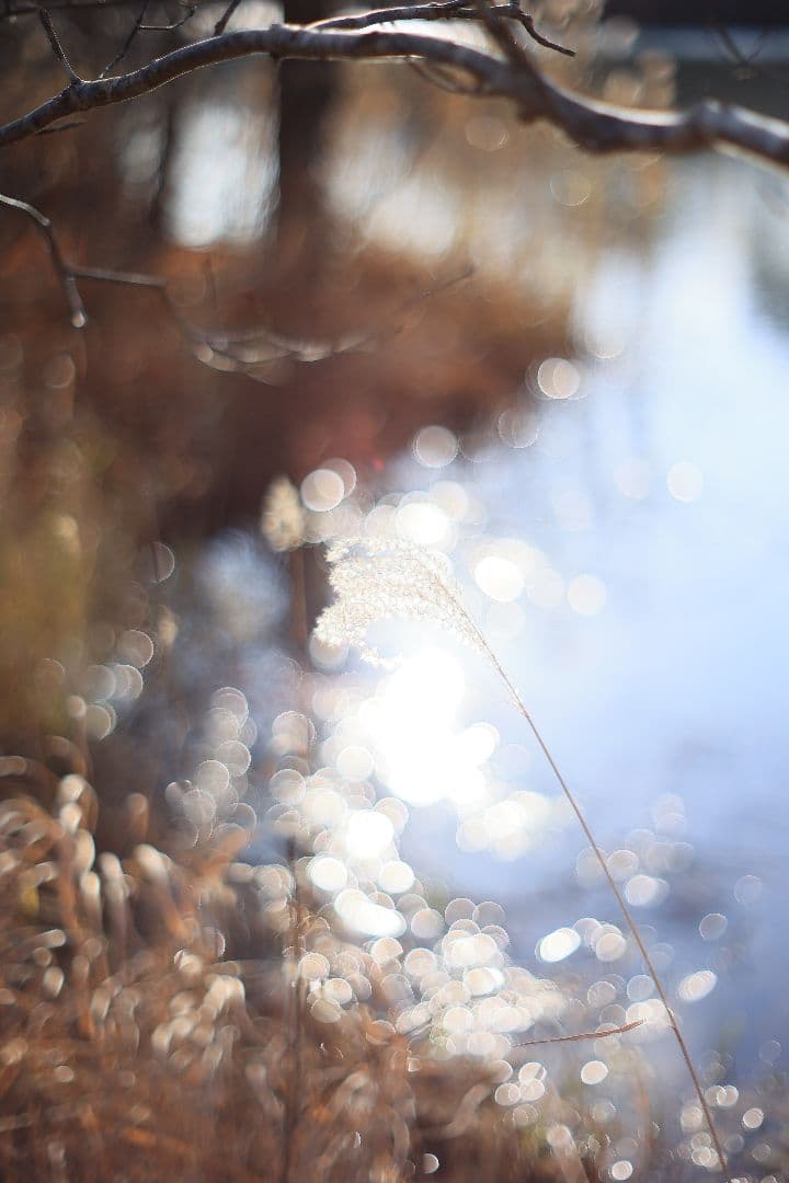 KONICA HEXANON AR 57mm F1.4 後期型 【良品】