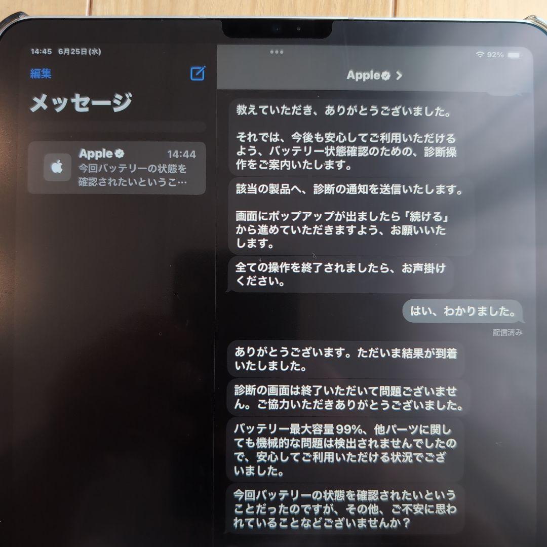 iPad Pro 11インチ Cellular 256GB セット