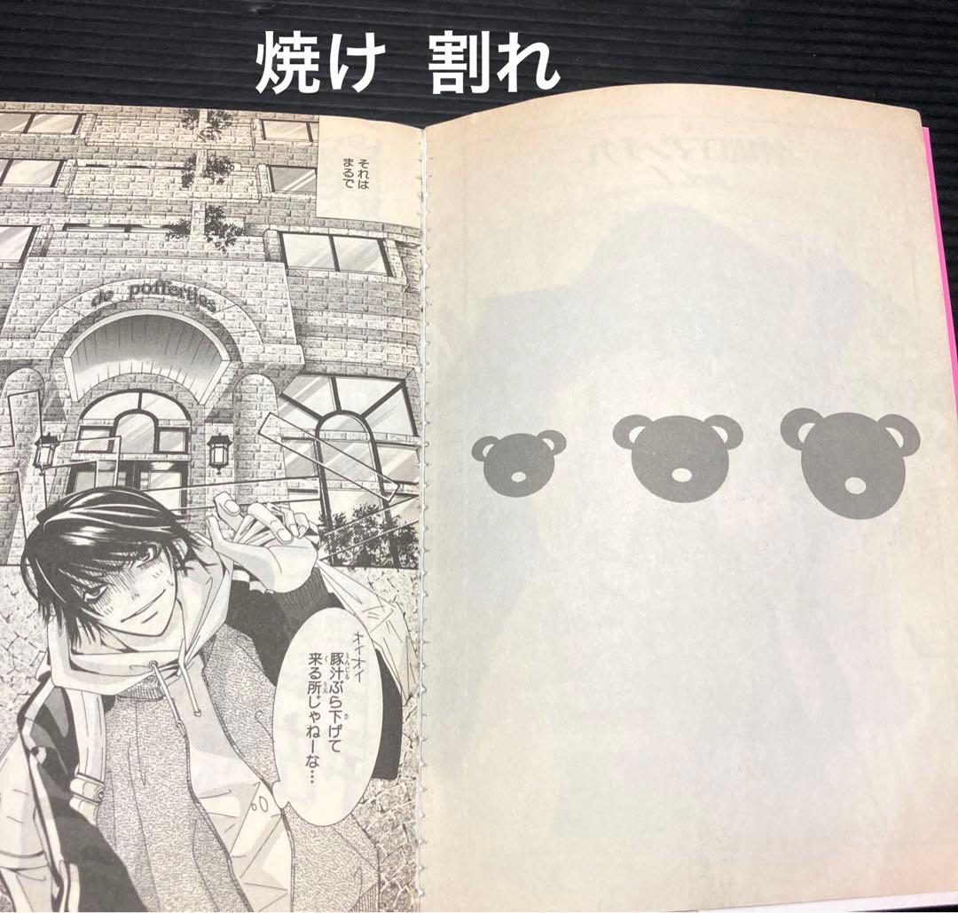 世界一初恋 全27巻純情ロマンチカ 全17巻 他2冊 小説13冊 59冊