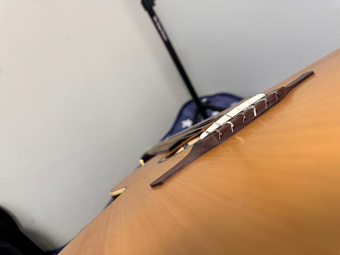 TAKAMINE P3FCN エレガッドギター超美品